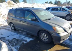 5FNRL3H60AB087202: 44526176