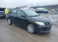 2T1BU4EEXDC938303: 44525595