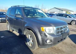 1FMCU0DG8AKD25621: 44526610