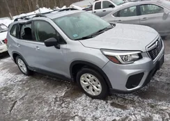 JF2SKACC0KH494011: 44526876