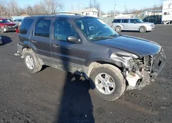 1FMYU031X5KB23114: 44527051