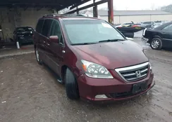 5FNRL38677B089229: 44527092