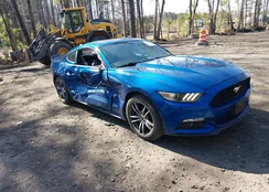 1FA6P8TH4H5204892: 44526330