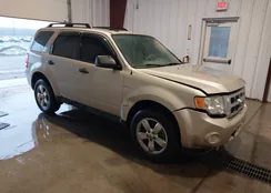 1FMCU0DG9BKB96841: 44526604