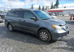 5FNRL3H7XAB049310: 44527773