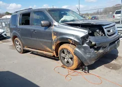 5FNYF3H51BB014352: 44528120