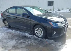 5NPD74LF2LH527923: 44527268