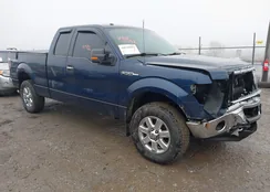 1FTFX1EF2EFB54853: 44529092