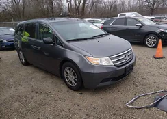 5FNRL5H62CB094506: 44528313