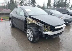 7SAYGDED2RF053138: 44528595