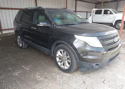 1FM5K8F81DGA62799: 44529433