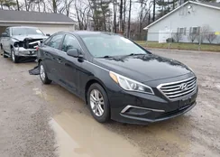 5NPE24AF9HH444065: 44530575