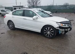 1HGCR3F84DA042139: 44531704