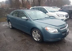 1G1ZJ577394249024: 44531862