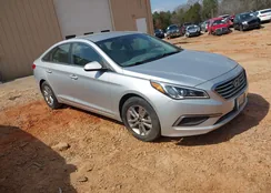 5NPE24AF7GH357831: 44531942