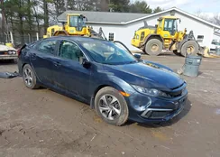 19XFC2F61LE026496: 44531262