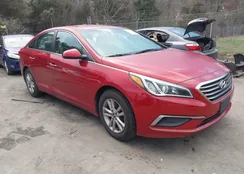 5NPE24AF3HH493553: 44531279