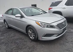 5NPE24AF0HH518201: 44532999