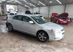 1G1ZC5E14BF348521: 44533006