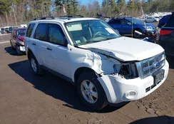 1FMCU9DG4BKB38172: 44533970