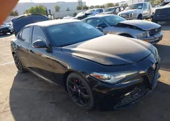 ZARFAMAN5K7622473: 44534004