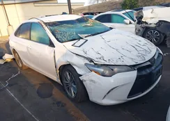 4T1BF1FK3GU534856: 44534202