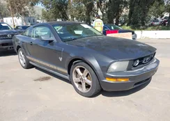 1ZVHT80N395135524: 44533316