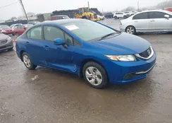 2HGFB2F54DH544183: 44533533