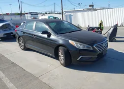 5NPE24AFXGH363736: 44534801