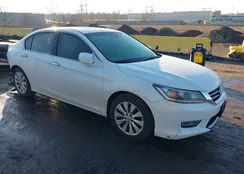 1HGCR3F83DA010699: 44534405