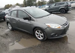 1FADP3F24EL436353: 44536035