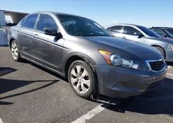 JHMCP26828C042597: 44535374