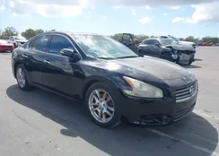 1N4AA5AP9BC828078: 44537060