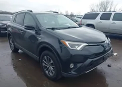 JTMRJREV7HD062397: 44536305