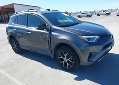 2T3NFREV1JW438584: 44538673