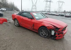 1ZVBP8EM6E5210673: 44539157