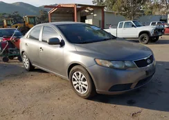 KNAFU4A29C5636006: 44538280