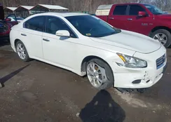 1N4AA5AP8EC469942: 44539906