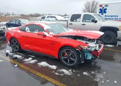 1FA6P8AM5G5308113: 44540077