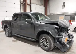 1FTEW1E47LKD04537: 44540910