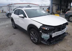 3MVDMBCM2SM756251: 44541027