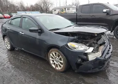 1C3CDFCA8DD342940: 44541935