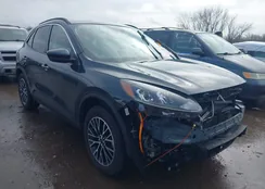 1FMCU0KZXNUB95131: 44542627