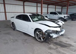 2C3CDXCT1NH203115: 44542706