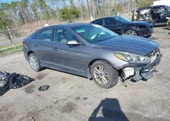 5NPE24AF8JH613823: 44542880