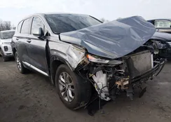 5NMS2CAD2KH124229: 44542198