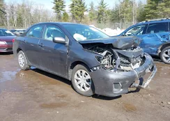 5YFBU4EE1DP074984: 44542329