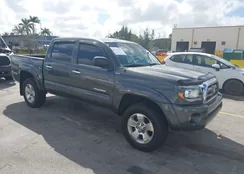 3TMJU62NX9M087906: 44542551