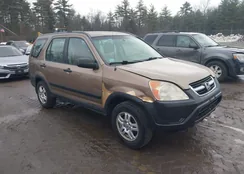 SHSRD78474U204063: 44543580