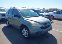 JHLRE38368C020498: 44544117